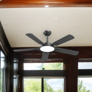 Ceiling Fans with Lights