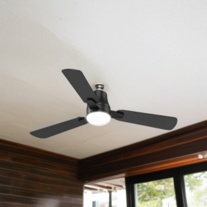 Ceiling Fans with Lights 2